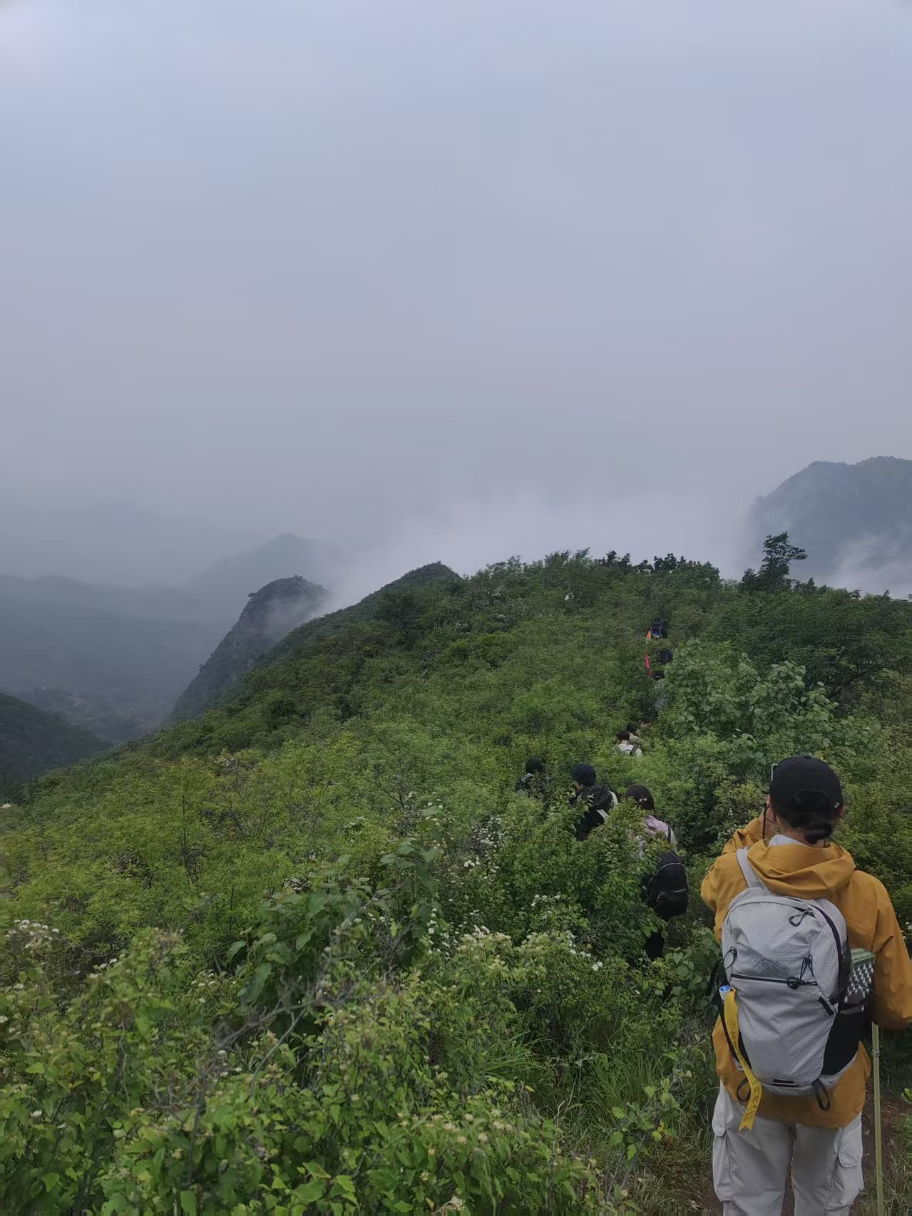 有点危险但很有趣的雨天徒步🌧️
